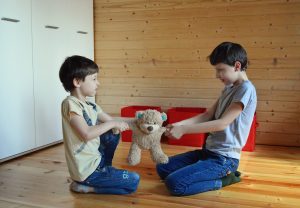 children fighting over teddy bear