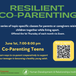 Co-Parenting Teens